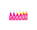 Beginner's Bundle - Windows, Toilet, All-Purpose Cleaner